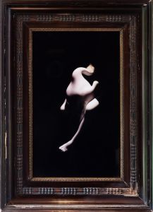 Swann I, framed (2)