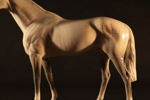HORSE #3
