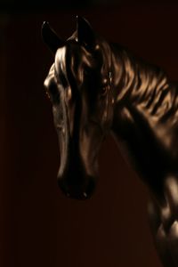 Tête de cheval Noir